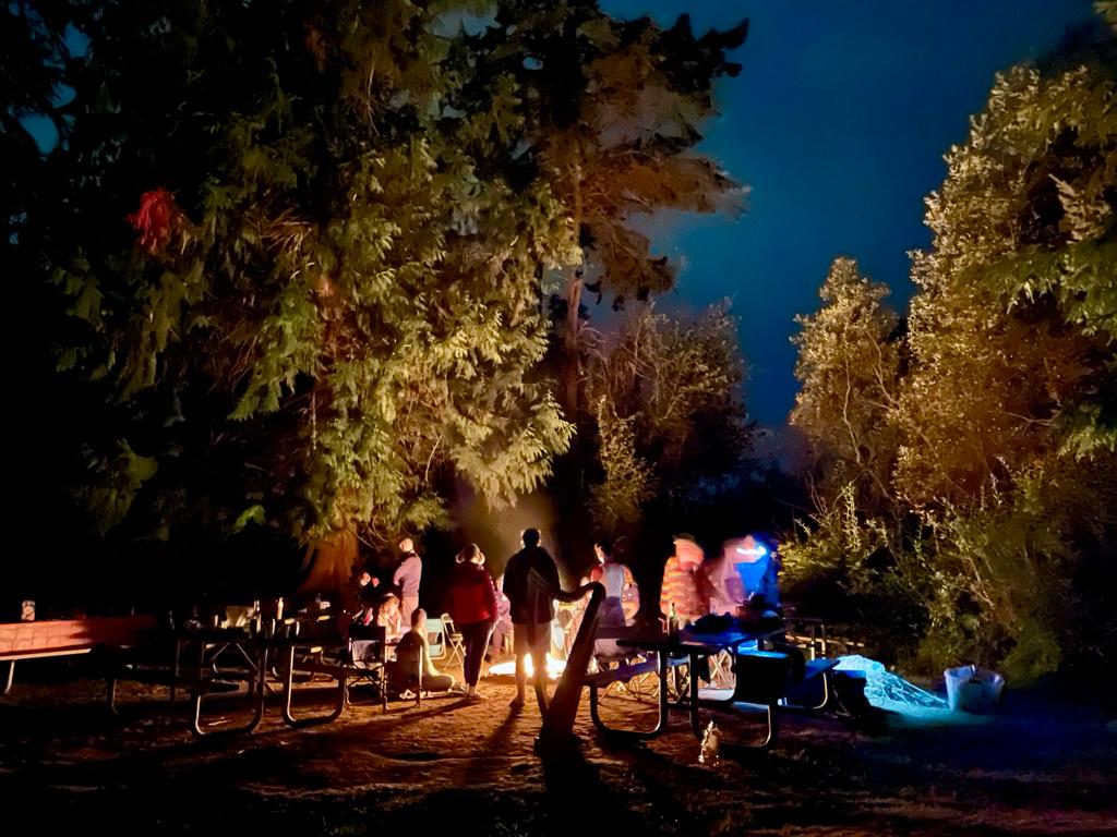 about a dozen people around a campfire with a harp