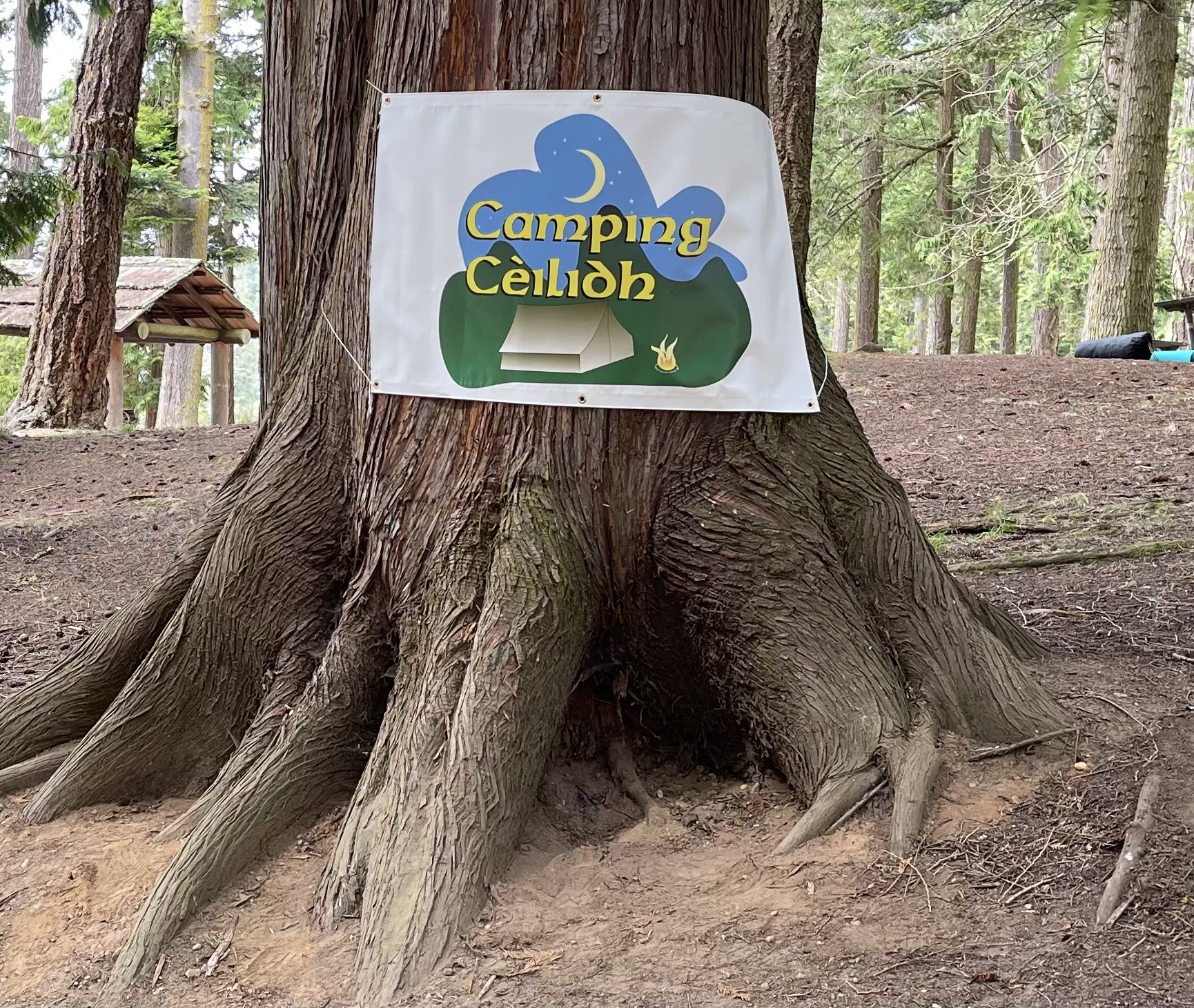 The new revised banner of Camping Cèilidh