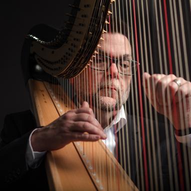 man playing classical harp viewed through strings